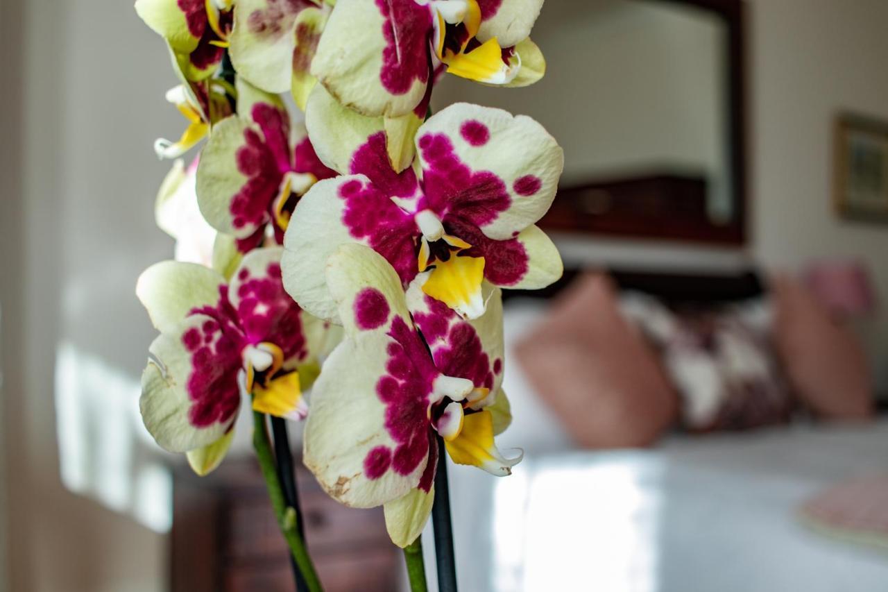 Carmichael House Boutique Hotel كيب تاون المظهر الخارجي الصورة