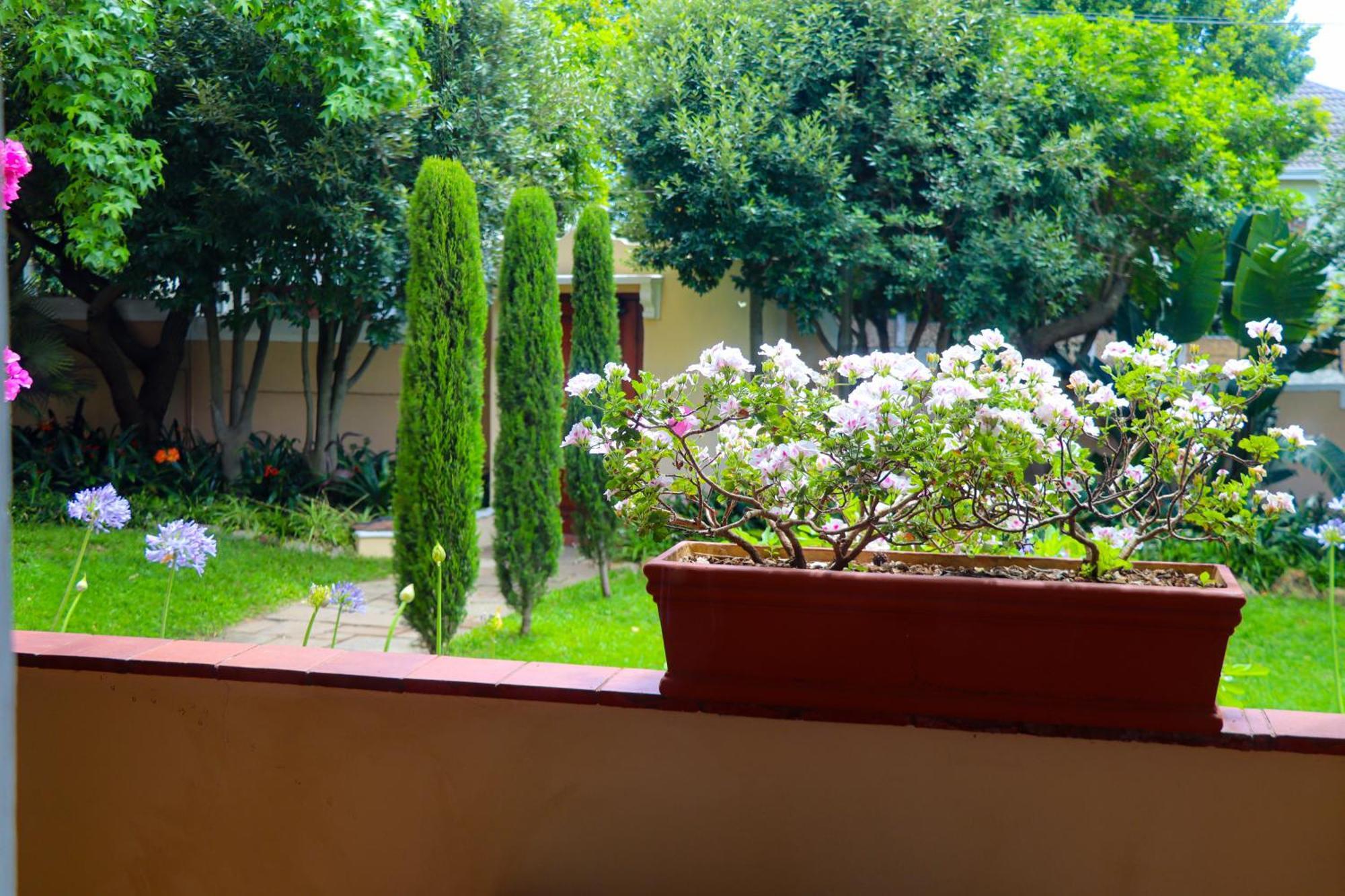 Carmichael House Boutique Hotel كيب تاون المظهر الخارجي الصورة