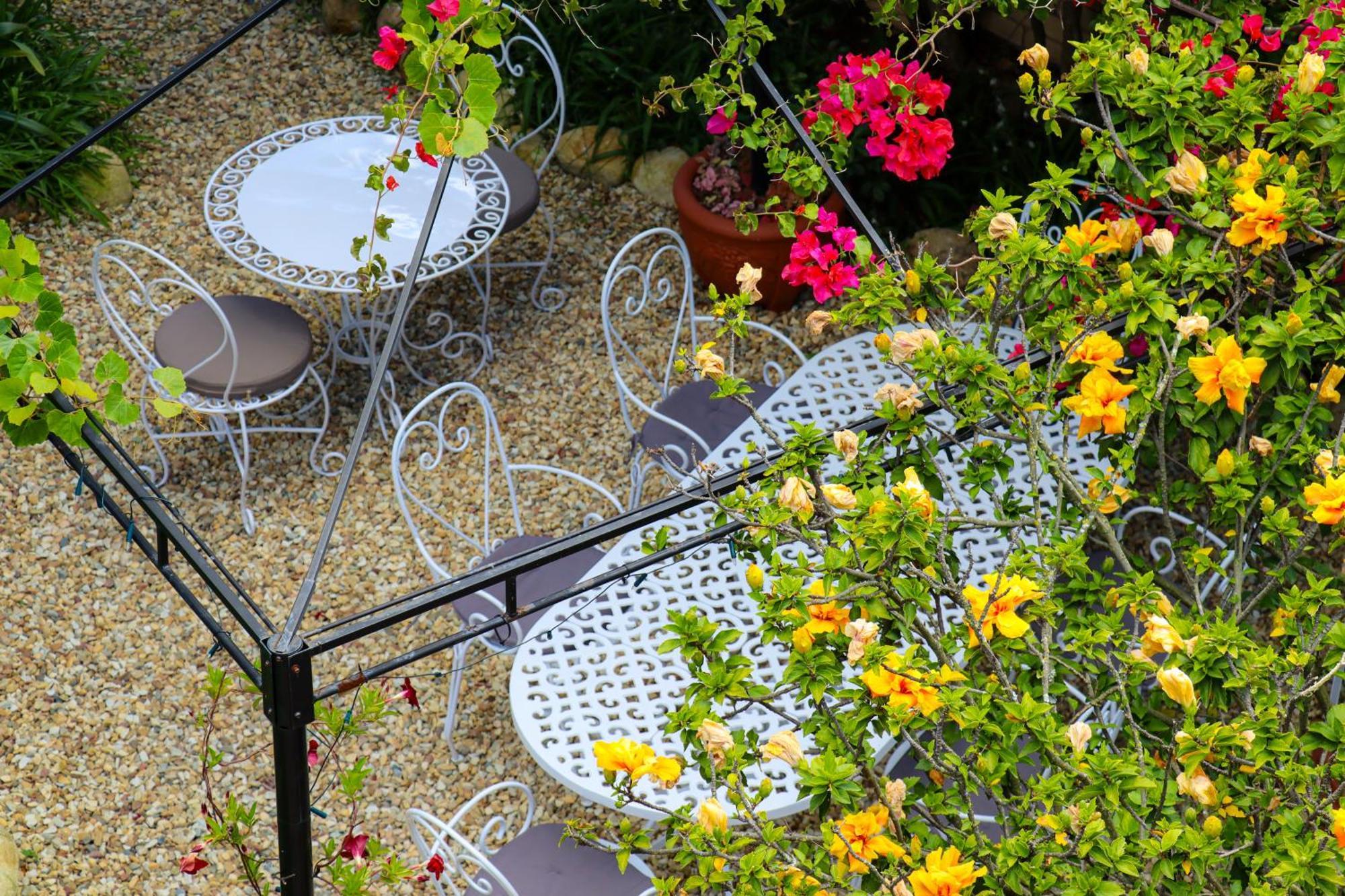 Carmichael House Boutique Hotel كيب تاون المظهر الخارجي الصورة